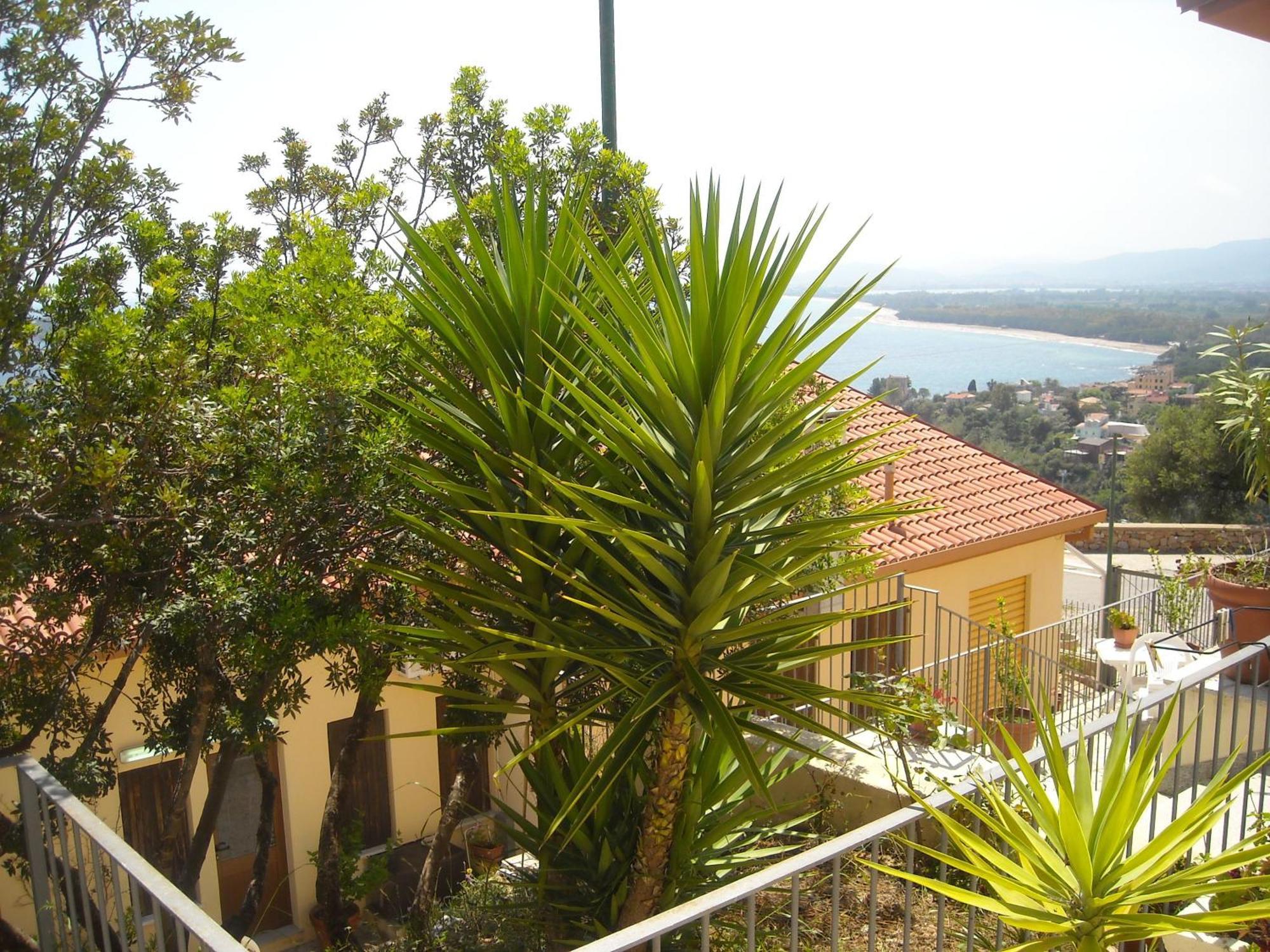 Ostello Bellavista ซานตามาเรีย นาวาร์เรเซ ภายนอก รูปภาพ